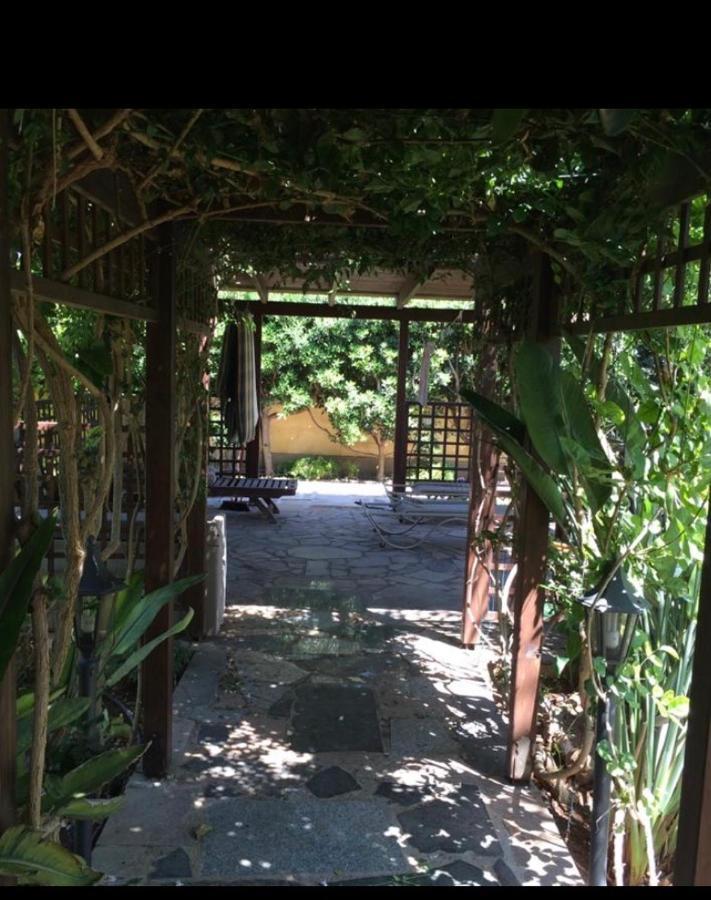 Villa Natalia Айя-Напа Экстерьер фото